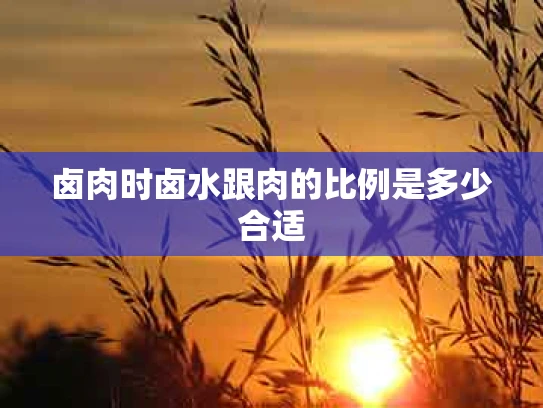 卤肉时卤水跟肉的比例是多少合适