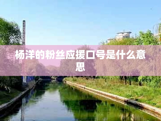 杨洋的粉丝应援口号是什么意思