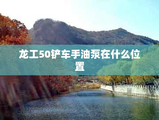 龙工50铲车手油泵在什么位置