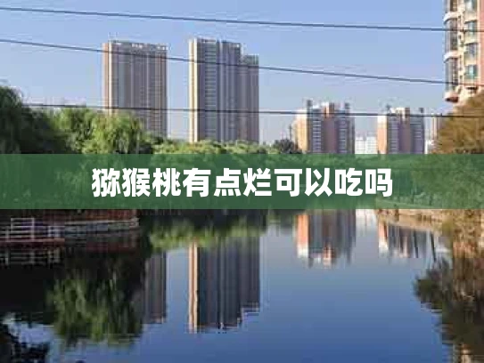 猕猴桃有点烂可以吃吗