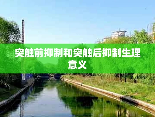 突触前抑制和突触后抑制生理意义