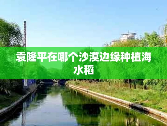 袁隆平在哪个沙漠边缘种植海水稻