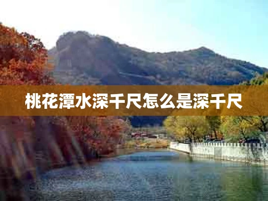 桃花潭水深千尺怎么是深千尺