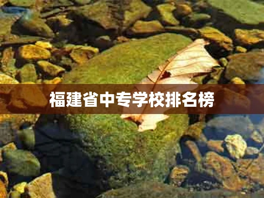 福建省中专学校排名榜