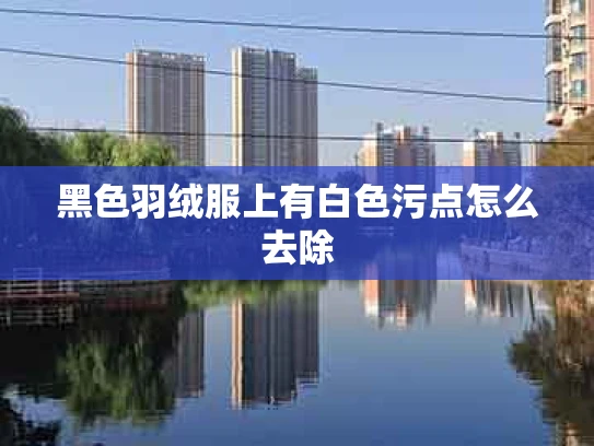 黑色羽绒服上有白色污点怎么去除