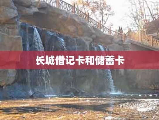 长城借记卡和储蓄卡