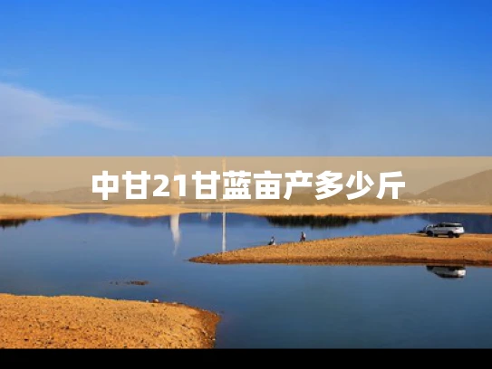中甘21甘蓝亩产多少斤