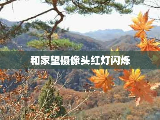 和家望摄像头红灯闪烁