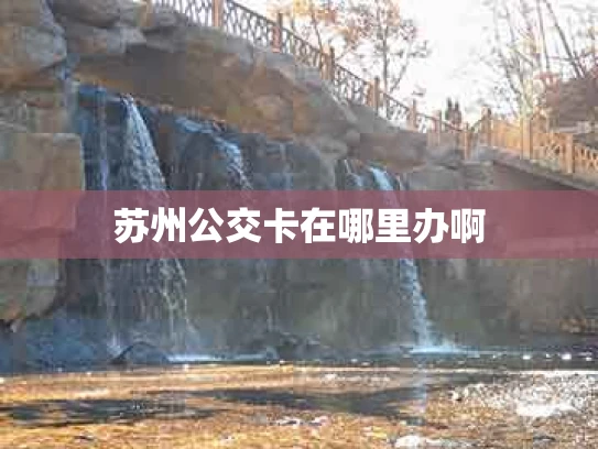 苏州公交卡在哪里办啊