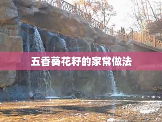 五香葵花籽的家常做法