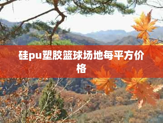 硅pu塑胶篮球场地每平方价格