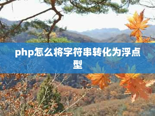 php怎么将字符串转化为浮点型