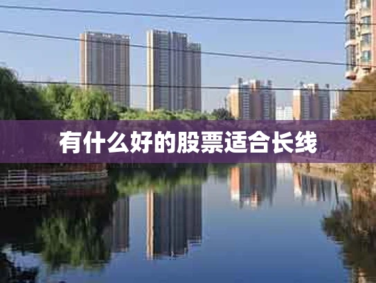 有什么好的股票适合长线