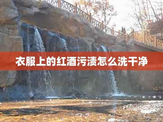 衣服上的红酒污渍怎么洗干净