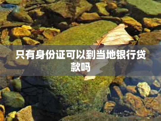 只有身份证可以到当地银行贷款吗