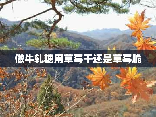 做牛轧糖用草莓干还是草莓脆