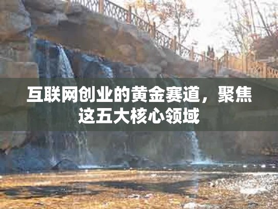 互联网创业的黄金赛道，聚焦这五大核心领域
