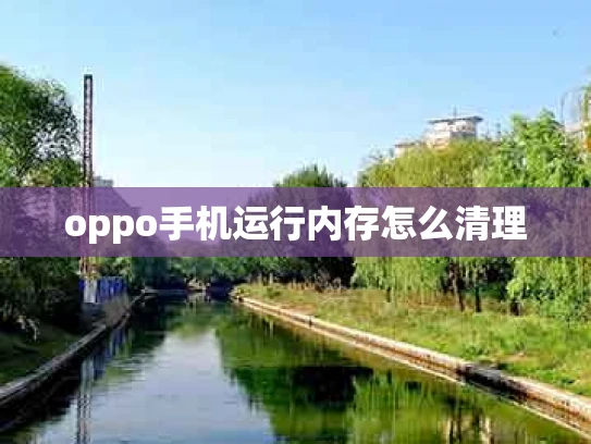 oppo手机运行内存怎么清理