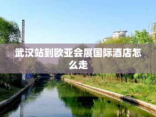武汉站到欧亚会展国际酒店怎么走