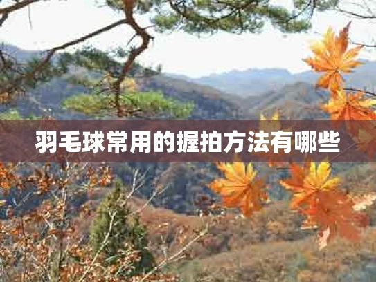 羽毛球常用的握拍方法有哪些