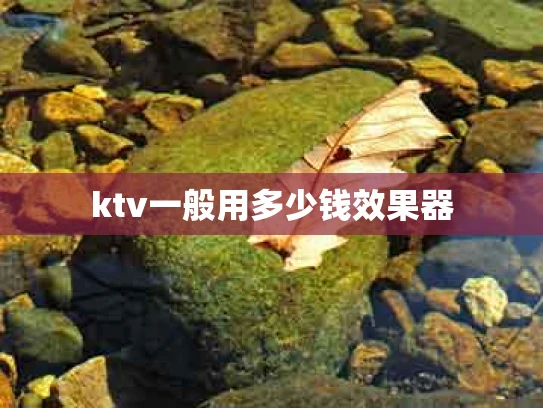 ktv一般用多少钱效果器