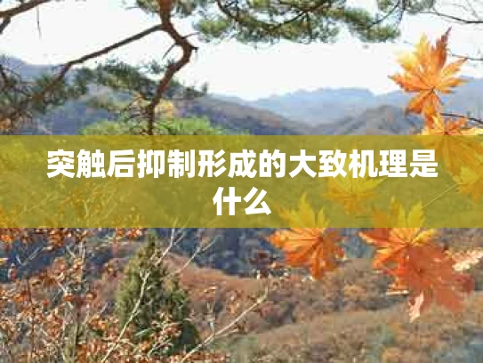突触后抑制形成的大致机理是什么