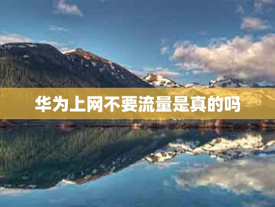 华为上网不要流量是真的吗
