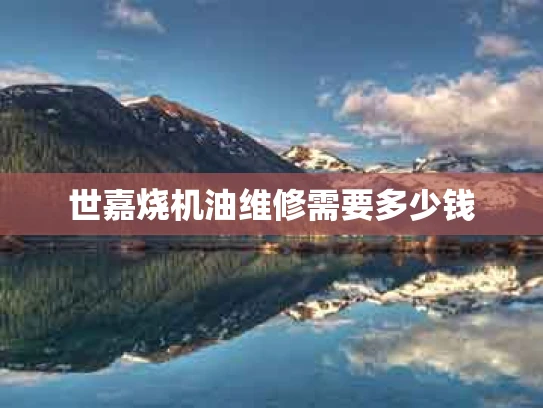 世嘉烧机油维修需要多少钱