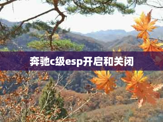奔驰c级esp开启和关闭