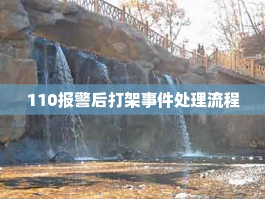 110报警后打架事件处理流程