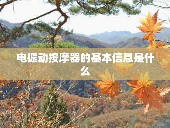 电振动按摩器的基本信息是什么