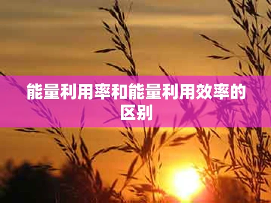 能量利用率和能量利用效率的区别