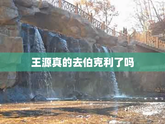 王源真的去伯克利了吗