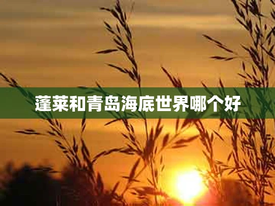 蓬莱和青岛海底世界哪个好