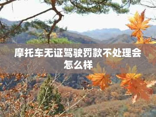 摩托车无证驾驶罚款不处理会怎么样