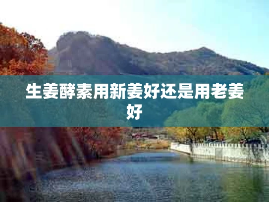 生姜酵素用新姜好还是用老姜好