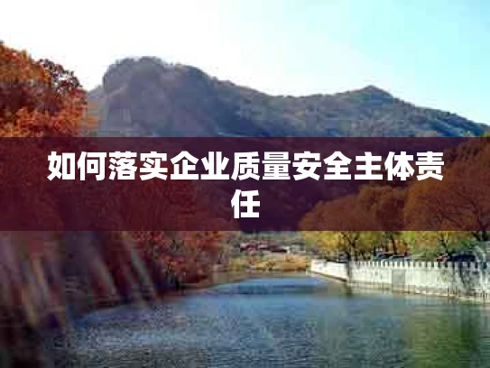 如何落实企业质量安全主体责任