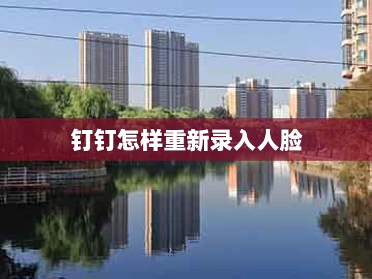 钉钉怎样重新录入人脸