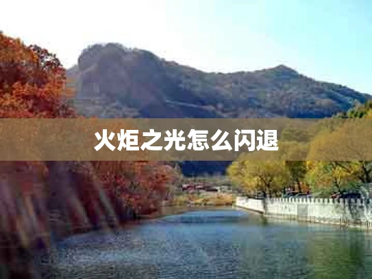 火炬之光怎么闪退