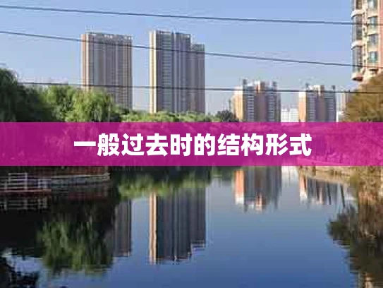 一般过去时的结构形式
