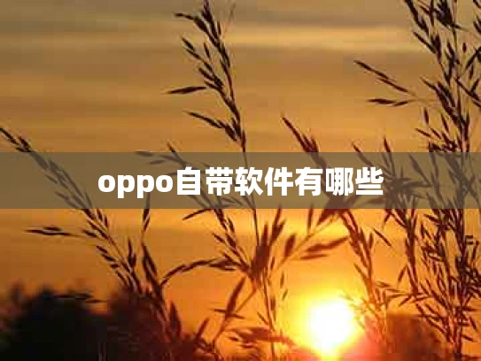 oppo自带软件有哪些