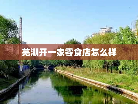 芜湖开一家零食店怎么样