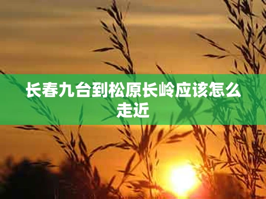 长春九台到松原长岭应该怎么走近