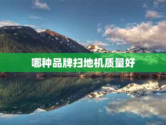 哪种品牌扫地机质量好