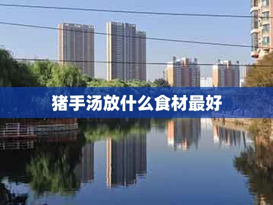 猪手汤放什么食材最好