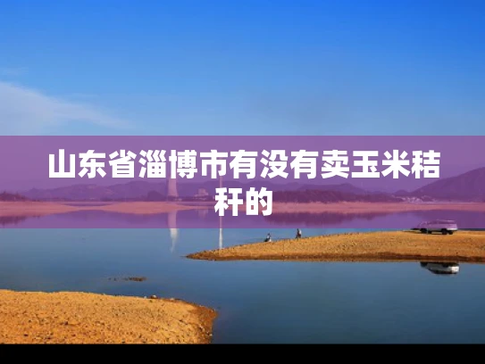 山东省淄博市有没有卖玉米秸秆的
