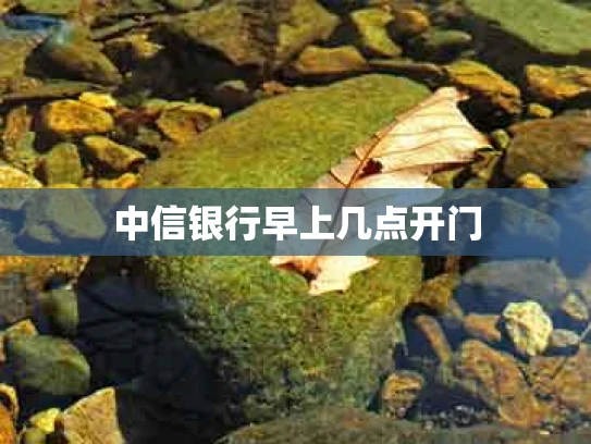 中信银行早上几点开门