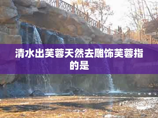 清水出芙蓉天然去雕饰芙蓉指的是