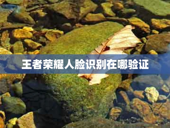 王者荣耀人脸识别在哪验证