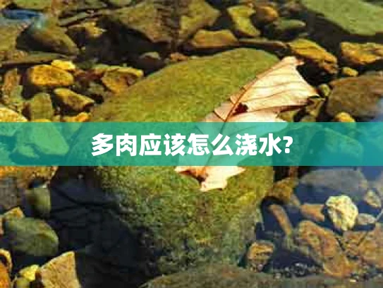 多肉应该怎么浇水?